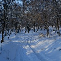 Шахты. Зимняя дорога в лощине Лесхоза. :: Пётр Чернега