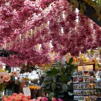 Интерьер павильона цветочного рынка :: Нина Синица