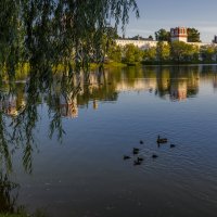 Новодевичий монастырь :: Евгений Бубнов