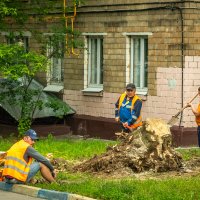 ИСКОРЕНИТЕЛИ :: Сергей Янович Микк