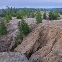 Раннее утро в Кондуках :: Светлана Карнаух