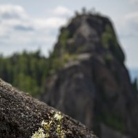 перед вершиной :: Аркан Арканович