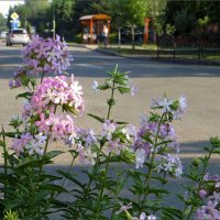 Течёт июльская жара... :: Татьяна Смоляниченко