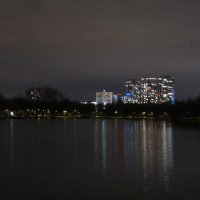 Ночь над прудом :: Дмитрий Никитин
