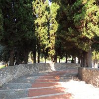 Ступеньки монастырского сада ведут к оливковой роще :: Гала 