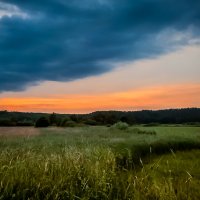 Kolorowy zawrót głowy :: Janusz Wrzesień