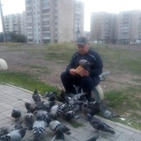 Старик и голуби.... :: Андрей Хлопонин