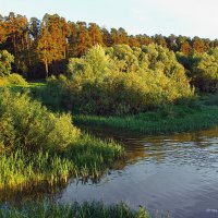 И полнится душа вечерней тишиной... :: Лесо-Вед (Баранов)