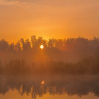 На рассвете майским утром. :: Pavel Vasilev