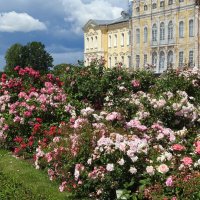 розовый сад Рундальского дворца :: ИННА ПОРОХОВА
