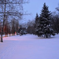 Шахты. Январское утро улицы Индустриальной. :: Пётр Чернега