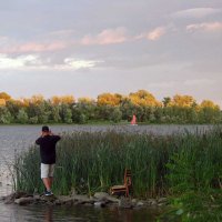 Фотограф в засаде...) :: Тамара Бедай 