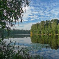 На берегу Лукового озера :: Валерий Иванович