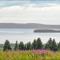 Родные просторы :: Олег Курочкин