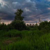 Вечерело :: Оксана Галлямова