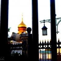 Ташкент :: Наталья Шестакова