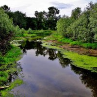 Речушка Свинцовка. :: Восковых Анна Васильевна 