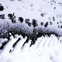 Снег :: Светлана Булашевская
