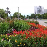 Городские цветы :: Геннадий Худолеев Худолеев