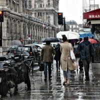 В Париже тоже бывают дожди... :: igor G.