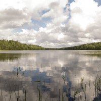 Озеро Долгое. Архангельская область. :: Марина Никулина