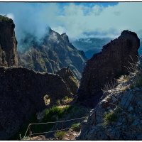 Madeira 2015 :: Jossif Braschinsky