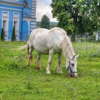 Однажды летом :: Константин 