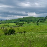 Лабинский район, Краснодарский край :: Игорь Сикорский