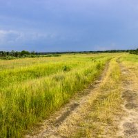 Прогулка в июне :: оксана 