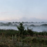 Туман на озере, туман на поле. :: Владимир Безбородов