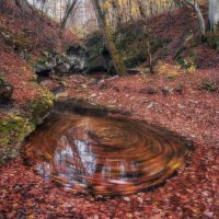 Рыжая круговерть... :: Александр К.