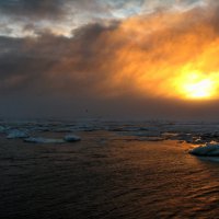 Арктические туманы. :: игорь кио 