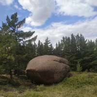 Каменный шарик :: Георгиевич 