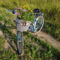 "Я буду долго гнать велосипед" пока ни "нарву цветов..." :: Андрей Лукьянов