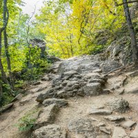 Сказочный лес. По дороге к купелям водопада Джур-Джур. :: Игорь Чичиль