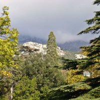 В Алупкинскомм парке :: Татьяна Ларионова