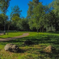 В Летнем Парке :: юрий поляков