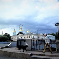 ДОМОЙ :: Виктор Никитенко