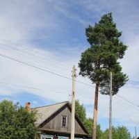 Маяк Камский....Одинственная сосна в поселении... :: Александр Широнин