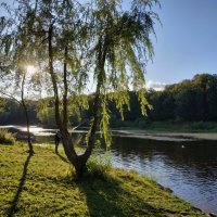 Ловлю солнечные денечки :: Андрей Лукьянов