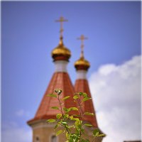 Церковный сад.. :: Александр Шимохин