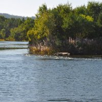 Водоворот на Ангаре :: Людмила Ковалева