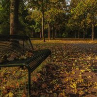 Уж осень на скамейке :: Alexander Andronik