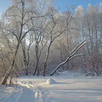 Зимний полдень... :: Вячеслав Орлов