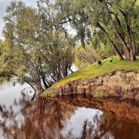Осень на реке :: Владимир Зыбин