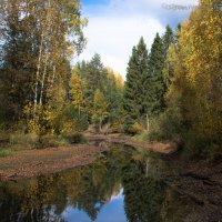 Осень , листопад и речки обмелели :: Борис Устюжанин