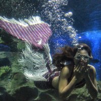 Mermaids kiss :: Igor Nekrasov