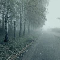 В пелене осеннего тумана :: Николай Белавин