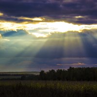 ** :: Алексей Касатиков