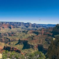 Grand Canyon National Park :: Ольга Маркова